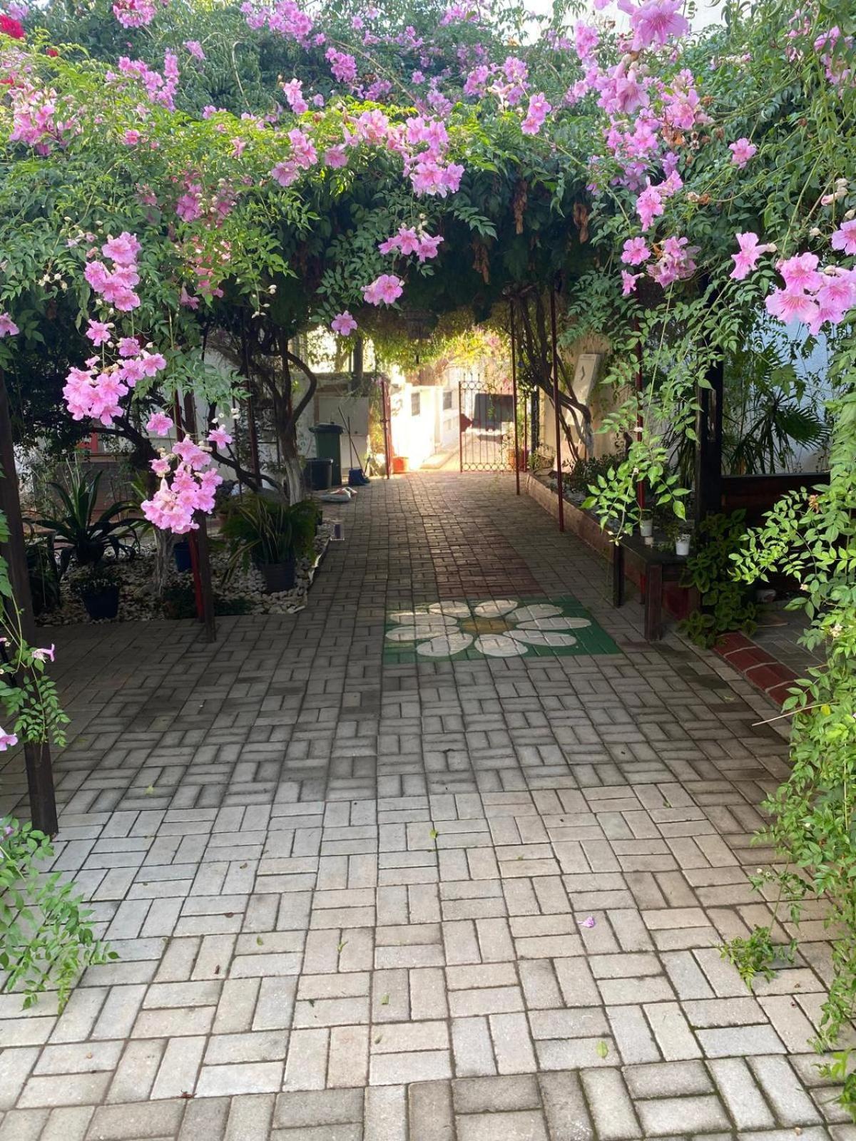 Betul Guest House Famagusta  Exterior foto